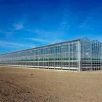 Холандска оранжерия