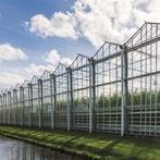 Луксозна оранжерия