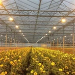 Стъклена оранжерия със слънчеви панели