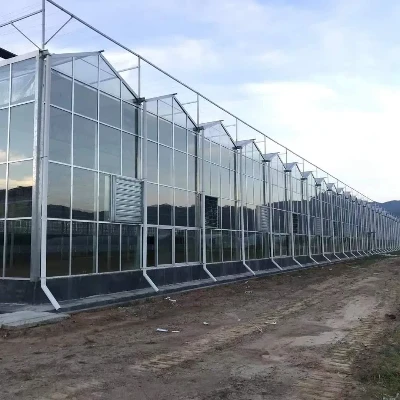 Китай Venlo Glass Greenhouse за Близкия изток