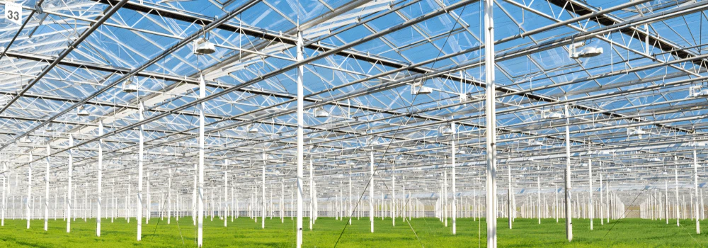 Contact us Contact us