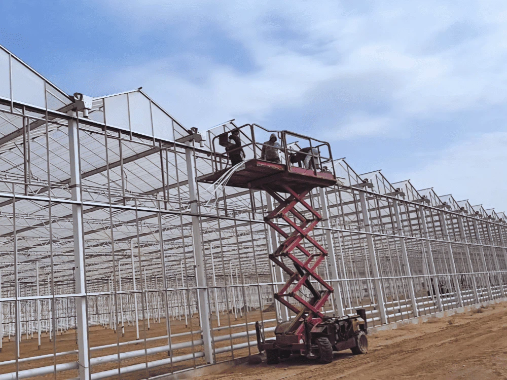 What Type of Glass Is Used for Greenhouses?