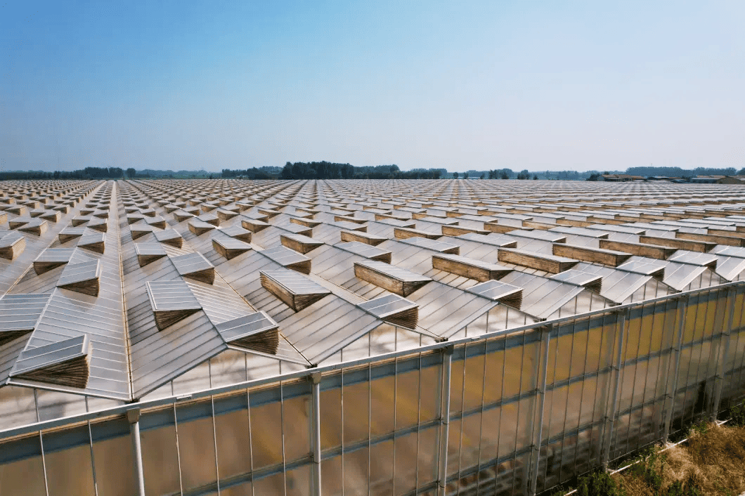 Polycarbonate Greenhouse